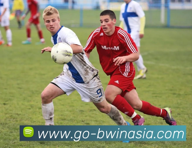 多媒体互动体验